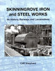 Skinningrove Iron and Steel Works